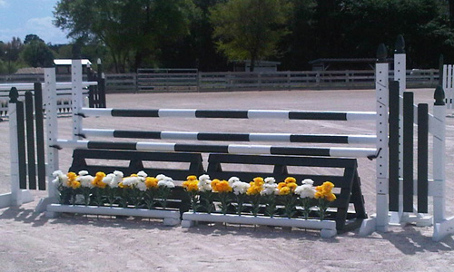 horse jump with flower box and Dapple Equine one piece horse jump cups